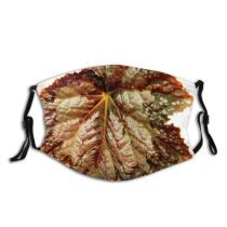 yanfind Pathology Family Leaves Leaf Begonia Leaf Plant Tree Grape Plane Vitis Flower Dust Washable Reusable Filter and Reusable Mouth Warm Windproof Cotton Face