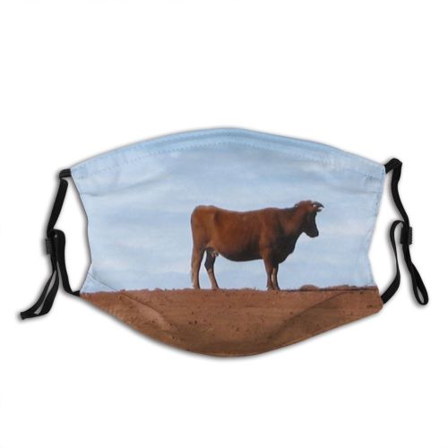 yanfind Family Terrestrial Sky Bovine Bull Pasture Cow Ecoregion Wildlife Calf Cow Goat Dust Washable Reusable Filter and Reusable Mouth Warm Windproof Cotton Face