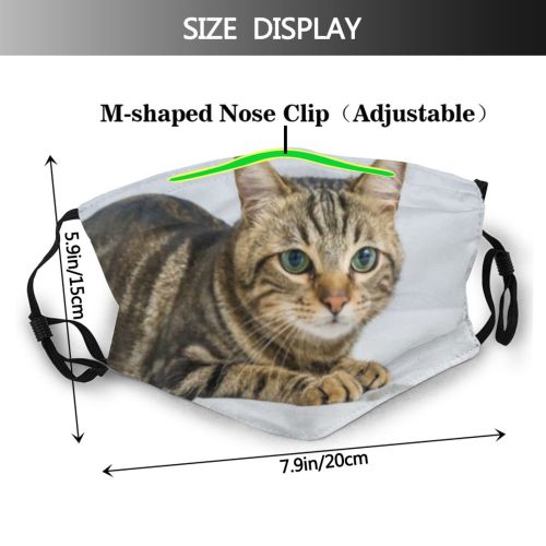 yanfind Isolated Bedroom Fur Young Bed Cat Kitty Cute Kittens Shorthair Grey Pillow   Dust Washable Reusable Filter and Reusable Mouth Warm Windproof Cotton Face
