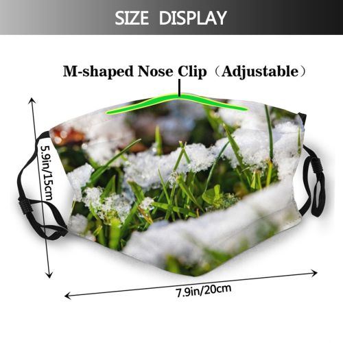 yanfind Ice Design Frost Defocused Grass Leaf Landscape Autumn Snowdrift Frozen Scene Snow Dust Washable Reusable Filter and Reusable Mouth Warm Windproof Cotton Face