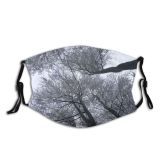 yanfind Winter Winter Atmospheric Woody Sky Plant Branch Twig Tree Tree Plant Freezing Dust Washable Reusable Filter and Reusable Mouth Warm Windproof Cotton Face