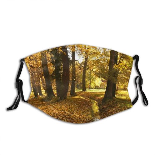yanfind Deciduous Landscape Leaf Tree Plant Natural Autumn Autumn Woodland Woody    Dust Washable Reusable Filter and Reusable Mouth Warm Windproof Cotton Face