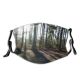 yanfind Outdoors Woods Light Tree Sunlight Forest Shadows Old Growth Landscape Sunset Natural Dust Washable Reusable Filter and Reusable Mouth Warm Windproof Cotton Face