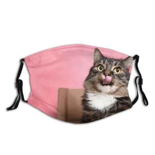 yanfind Fur Young Cat Kitty Cute Box Beautiful Pretty Face Pet Fluffy Eyes Dust Washable Reusable Filter and Reusable Mouth Warm Windproof Cotton Face