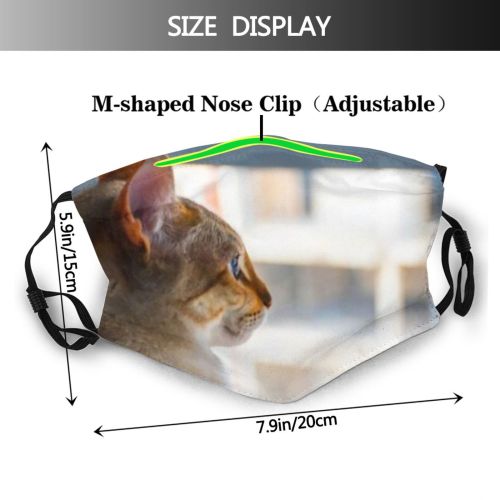 yanfind Fur Young Cat Kitty Cute Window Curious Beautiful Pretty City Sleeping Pet Dust Washable Reusable Filter and Reusable Mouth Warm Windproof Cotton Face