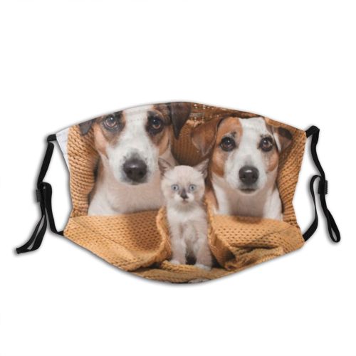 yanfind Friends Dogs Fur Together Cat Cute Warm Dog Fall Pedigreed Puppy Room Dust Washable Reusable Filter and Reusable Mouth Warm Windproof Cotton Face