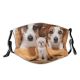 yanfind Friends Dogs Fur Together Cat Cute Warm Dog Fall Pedigreed Puppy Room Dust Washable Reusable Filter and Reusable Mouth Warm Windproof Cotton Face