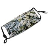 yanfind Winter Perennial Winter Subshrub Netherlands Plant Ice Shrub Crystals Flower Flowering Frost Dust Washable Reusable Filter and Reusable Mouth Warm Windproof Cotton Face