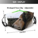 yanfind Rough Sheepdog Rough Galicia Dog Shetland Serious Canidae Dog Sideway Collies Snout Dust Washable Reusable Filter and Reusable Mouth Warm Windproof Cotton Face