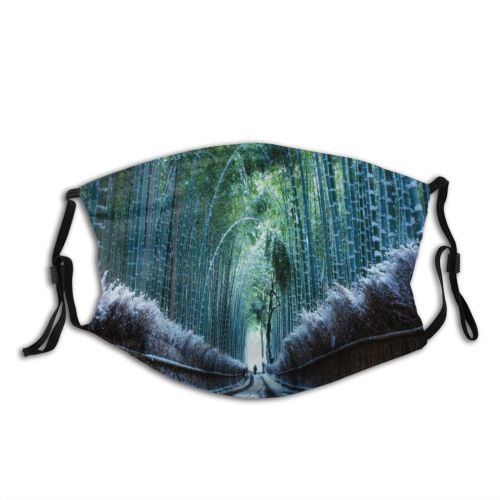 yanfind Prefecture Japan Snow City Kyoto Sagano Road Lane Bamboo Morning Temperature Outdoors Dust Washable Reusable Filter and Reusable Mouth Warm Windproof Cotton Face