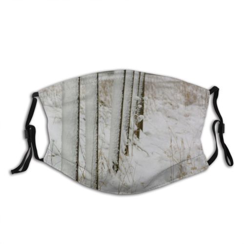 yanfind Winter Landscape Twig Tree Ice Wood Frost Winter Natural Freezing Snow Seasons Dust Washable Reusable Filter and Reusable Mouth Warm Windproof Cotton Face