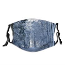 yanfind Winter Winter Natural Woody Landscape Snow Forest Hardwood Northern Switzerland Tree Forest Dust Washable Reusable Filter and Reusable Mouth Warm Windproof Cotton Face