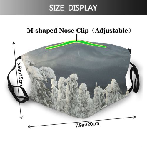 yanfind Winter Landforms Geological Mountain Range Mountainous Massif Alps Winter Rock Bayern Freezing Dust Washable Reusable Filter and Reusable Mouth Warm Windproof Cotton Face
