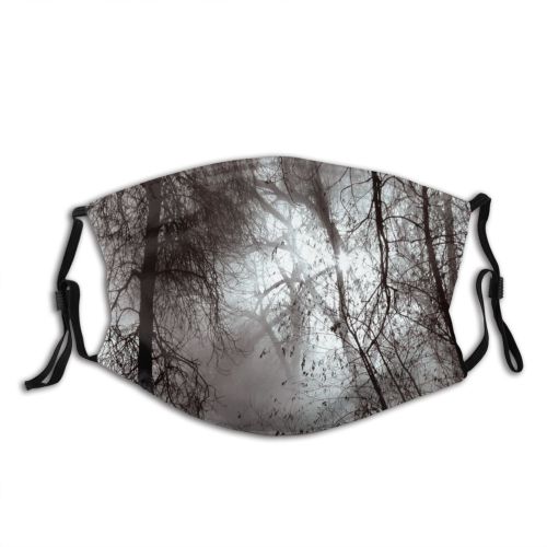 yanfind Winter Scenery Natural Atmospheric Landscape Sky Branch Tree Tree Trees Atmosphere Dust Washable Reusable Filter and Reusable Mouth Warm Windproof Cotton Face
