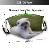 yanfind Isolated Fur Young Straight Sill Cat Kitty British Cute Grey Window Flowers Dust Washable Reusable Filter and Reusable Mouth Warm Windproof Cotton Face