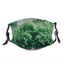 yanfind Idyllic Untouched Shore Coast Foliage Daylight Calm Park Flora Peace Wild Highland Dust Washable Reusable Filter and Reusable Mouth Warm Windproof Cotton Face