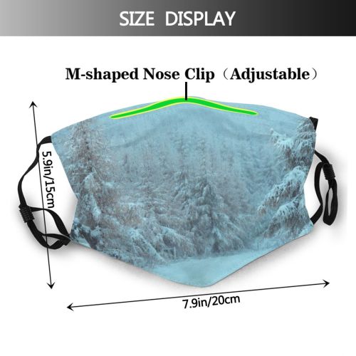 yanfind Country Social East Dramatic Frost Landscape Wheel Trip Winding Frozen Tree Snow Dust Washable Reusable Filter and Reusable Mouth Warm Windproof Cotton Face