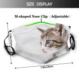 yanfind Garden Fur Young Cat Kitty Cute Focus Colorful Summer Meadow Grass Beautiful Dust Washable Reusable Filter and Reusable Mouth Warm Windproof Cotton Face