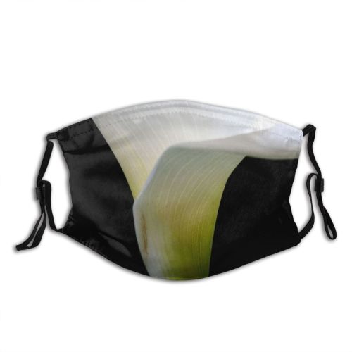 yanfind Lily Flower Lilly Cup Elegance Blossons Beauty Spring Seduce Plant Flowers Light Dust Washable Reusable Filter and Reusable Mouth Warm Windproof Cotton Face
