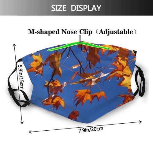 yanfind Maple Sky Autumn Woody Australia Maple Sky Plant Branch Leaf Leaf Twig Dust Washable Reusable Filter and Reusable Mouth Warm Windproof Cotton Face