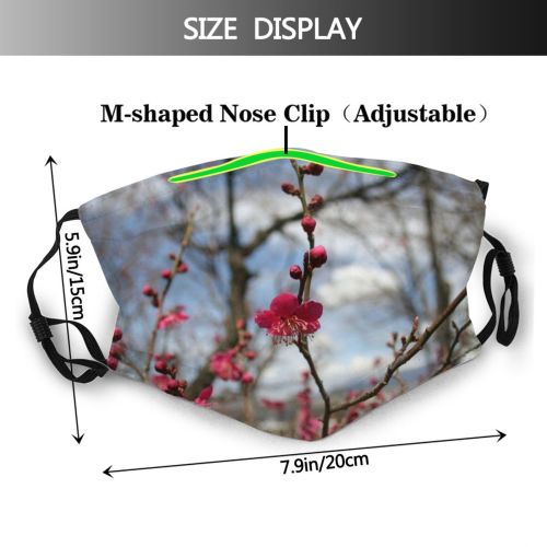 yanfind Flower Flowering Blossom Plant Spring Flower Twig Tree Stem Plant Branch Japan Dust Washable Reusable Filter and Reusable Mouth Warm Windproof Cotton Face