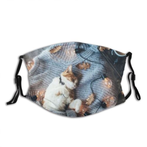 yanfind Chill Comfort Decor Lights Sweater Bed Mug Cat Cute Warm Cozy Tray Dust Washable Reusable Filter and Reusable Mouth Warm Windproof Cotton Face