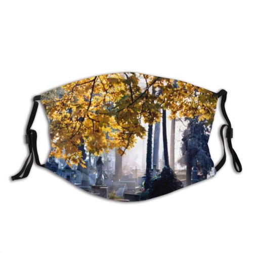 yanfind Daybreak Cemetery Headstone Leaf Sky Ray Tree Plant Grave Autumn Sun Autumn Dust Washable Reusable Filter and Reusable Mouth Warm Windproof Cotton Face