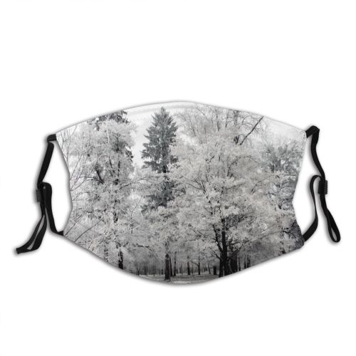 yanfind Winter Path Frost Freeze Christmas Winter Natural Woody Snowfall Landscape Light Snow Dust Washable Reusable Filter and Reusable Mouth Warm Windproof Cotton Face