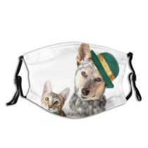 yanfind Isolated St Together Cat Irish Dog Celebrate Space Shot Pet Studio Closeup Dust Washable Reusable Filter and Reusable Mouth Warm Windproof Cotton Face