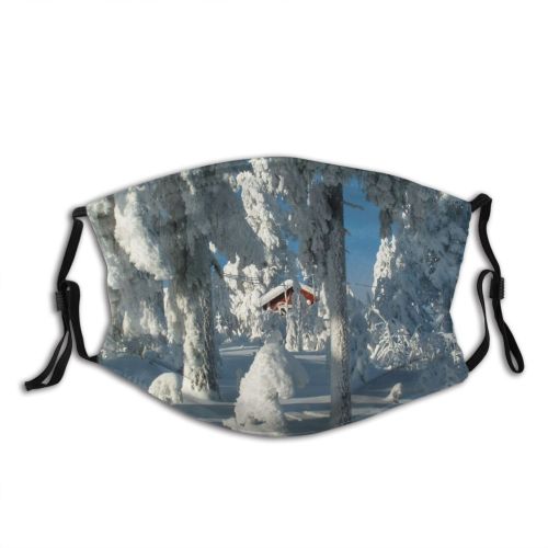 yanfind Winter Winter Quiet Geological Plant Ice Forrest Formation Snow Tree Frost Glacial Dust Washable Reusable Filter and Reusable Mouth Warm Windproof Cotton Face