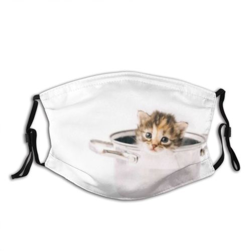 yanfind Isolated Whisker Fur Ear Little Cat Kitty Cute Striped Carnivore Yummy Ingredients Dust Washable Reusable Filter and Reusable Mouth Warm Windproof Cotton Face