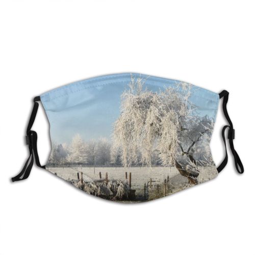 yanfind Winter Hom Spring Form Bushes Outside Natural Woody Landscape Light Branch Clouds Dust Washable Reusable Filter and Reusable Mouth Warm Windproof Cotton Face