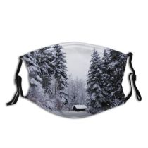 yanfind Winter Forest Cabin Sky Evergreen Switzerland Tree Forest Winter Natural Freezing Snow Dust Washable Reusable Filter and Reusable Mouth Warm Windproof Cotton Face