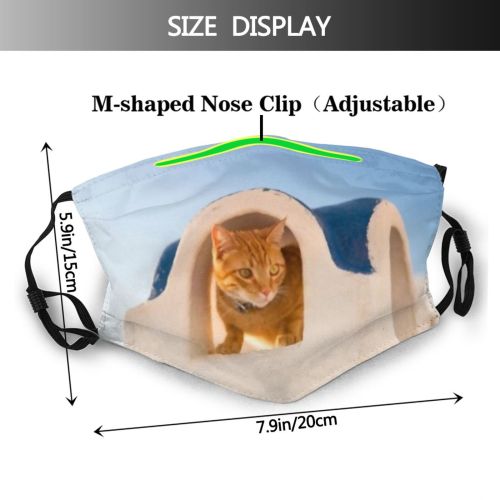 yanfind Lay Mediterranean Sunset Watch Lovely Sunlight Cat Kitty Cute Vacation Village Hour Dust Washable Reusable Filter and Reusable Mouth Warm Windproof Cotton Face