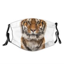 yanfind Isolated Stripes Tigris Danger Striped Cat Carnivore Big Staring Wildlife Facing Nobody Dust Washable Reusable Filter and Reusable Mouth Warm Windproof Cotton Face