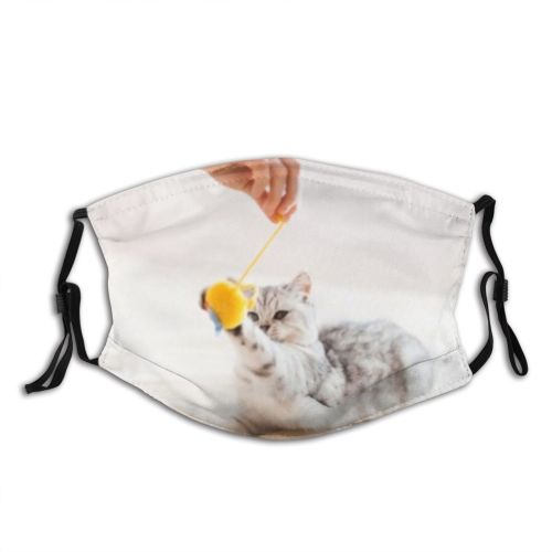 yanfind Comfortable Apartment Comfort Young Little Cat Kitty Cute Shorthair With Grey Pedigreed Dust Washable Reusable Filter and Reusable Mouth Warm Windproof Cotton Face