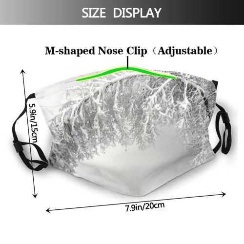 yanfind Winter Landscap Snow Plant Twig Tree Branch Frost Winter Freezing Fashion Accessory Dust Washable Reusable Filter and Reusable Mouth Warm Windproof Cotton Face