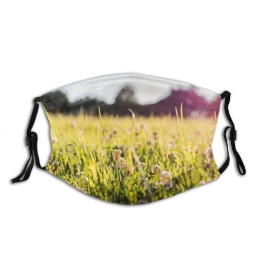 yanfind  Spring Flower With Garden Flora Grass Meadow Flowers Plant Evening Picture Dust Washable Reusable Filter and Reusable Mouth Warm Windproof Cotton Face