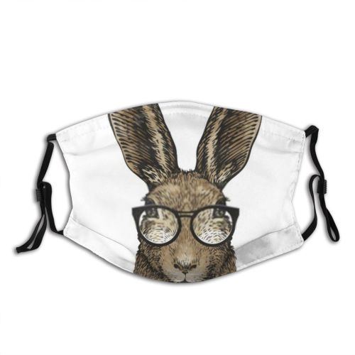 yanfind Chil Ears Elegant Isolated Beautiful Hipster Art Easter Pet Lovable Adorable Hare Dust Washable Reusable Filter and Reusable Mouth Warm Windproof Cotton Face