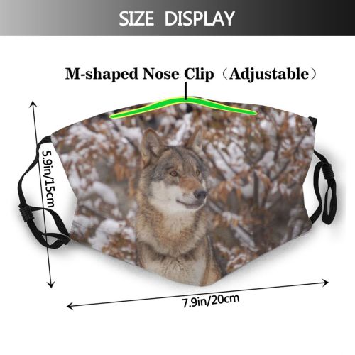 yanfind Lupus Vertebrate Wolfdog Tundrarum Carnivore Canidae Canis Wolf Wolf Canis Coyote Wildlife Dust Washable Reusable Filter and Reusable Mouth Warm Windproof Cotton Face