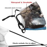 yanfind Fur Hunter Life Young Cat Kitty Cute Manx Wildlife Around Pedigree Beautiful Dust Washable Reusable Filter and Reusable Mouth Warm Windproof Cotton Face