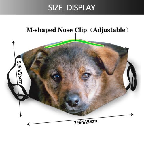 yanfind Family Dog Vertebrate Street Carnivore Canidae Mammals Puppy Puppy Potcake Snout Dog Dust Washable Reusable Filter and Reusable Mouth Warm Windproof Cotton Face