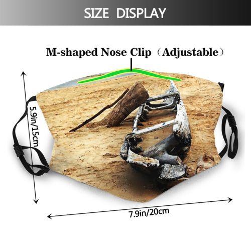 yanfind Wood Beach Isle Coast Shore Sky Paradise Sand Beach Tropic Tree Tropical Dust Washable Reusable Filter and Reusable Mouth Warm Windproof Cotton Face