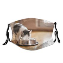 yanfind Happiness Little Cat Feeding Cute Kitty Licking Shorthair Grey Milk Window Eating Dust Washable Reusable Filter and Reusable Mouth Warm Windproof Cotton Face