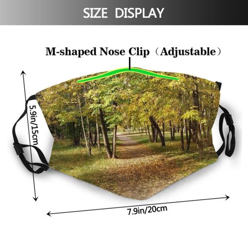 yanfind Path Natural Woody Landscape Sunlight Leaf Tree Autumn Park Leafs Deciduous Trees Dust Washable Reusable Filter and Reusable Mouth Warm Windproof Cotton Face