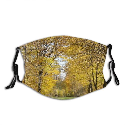 yanfind Dead Path Bushes Natural Woody Leaves Landscape Forest Leaf Umbers Tree Tree Dust Washable Reusable Filter and Reusable Mouth Warm Windproof Cotton Face