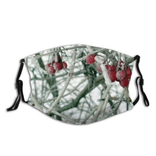 yanfind Winter Frozen Frost Berry Crisp Christmas Winter Berry Fruit Branches Woody Frosty Dust Washable Reusable Filter and Reusable Mouth Warm Windproof Cotton Face