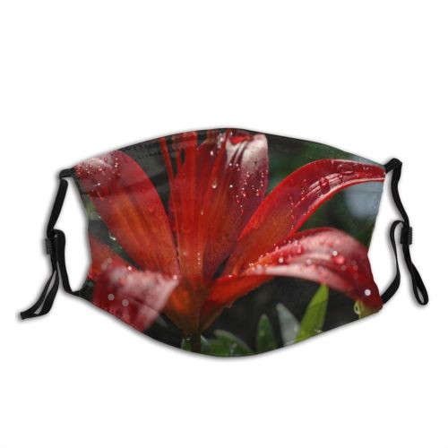 yanfind Lily Foxglove Plant Flowers Petal Flower Daylily Flowering Lilies Asiatic Lily Digitalis Dust Washable Reusable Filter and Reusable Mouth Warm Windproof Cotton Face