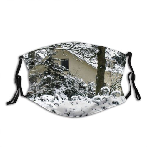 yanfind Winter Home Winter Ice Branch Snow Holland Twig Tree Blizzard Frost Season Dust Washable Reusable Filter and Reusable Mouth Warm Windproof Cotton Face