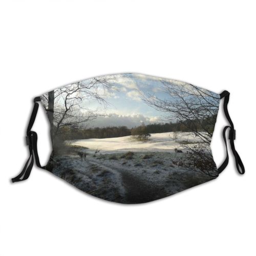 yanfind Winter Golf Morning Natural Winter Atmospheric Cour Glasgow Landscape Scotland Sky Virgin Dust Washable Reusable Filter and Reusable Mouth Warm Windproof Cotton Face
